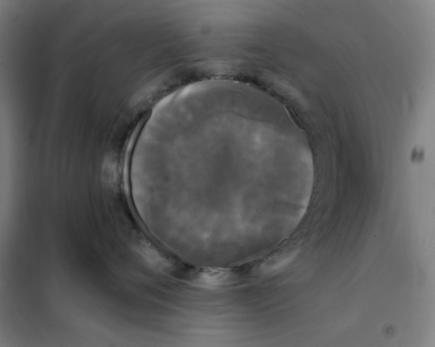 X0000101410720200808041104
