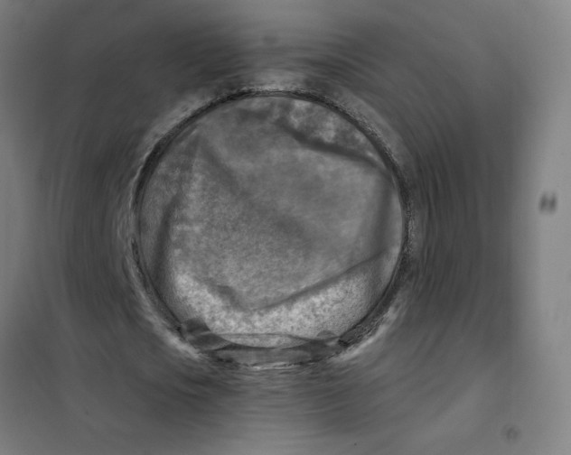 X0000101410721200808041104