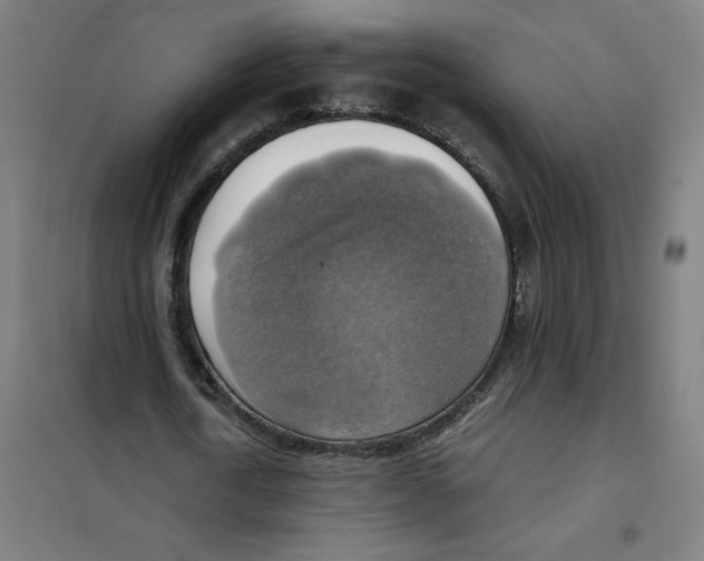 X0000101410722200808041104