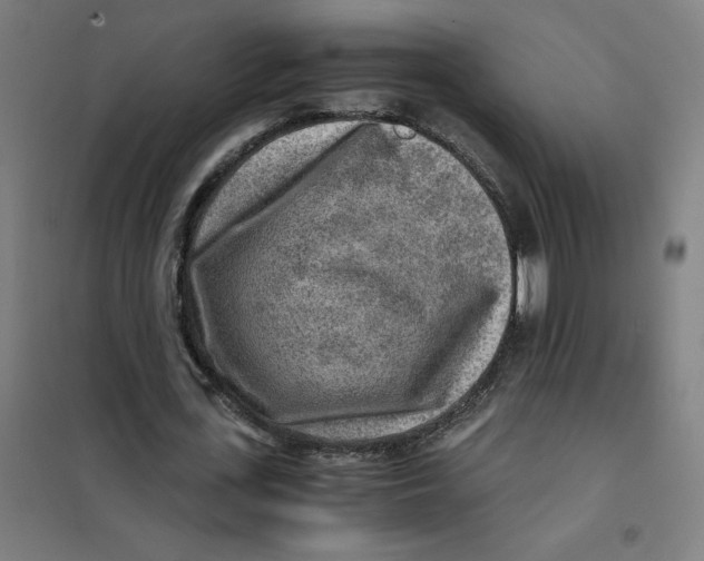 X0000101410723200808041104