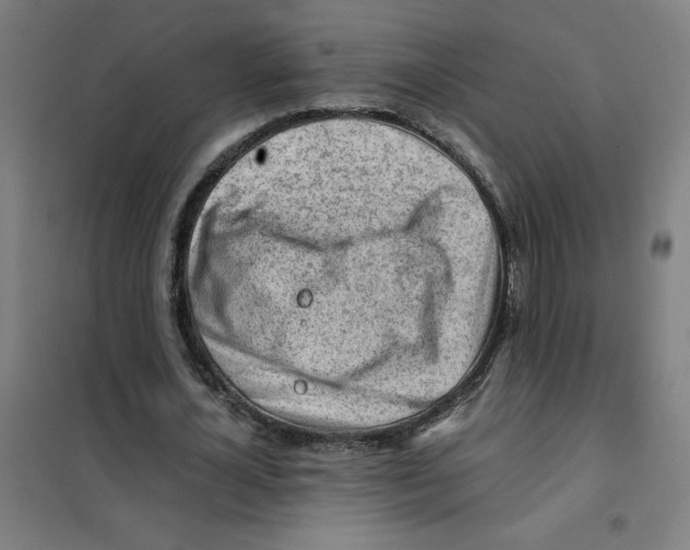 X0000101410724200808041104
