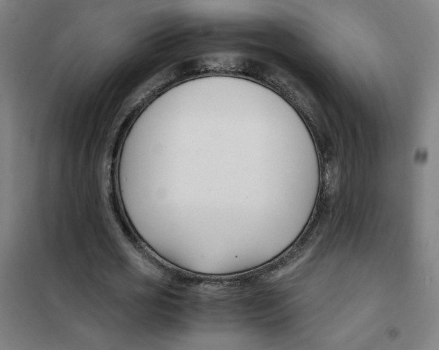 X0000101410725200808041104