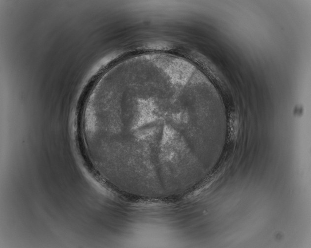 X0000101410726200808041104
