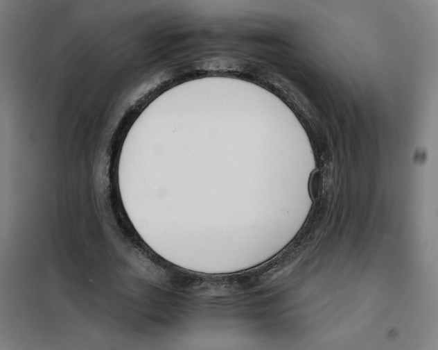 X0000101410727200808041104