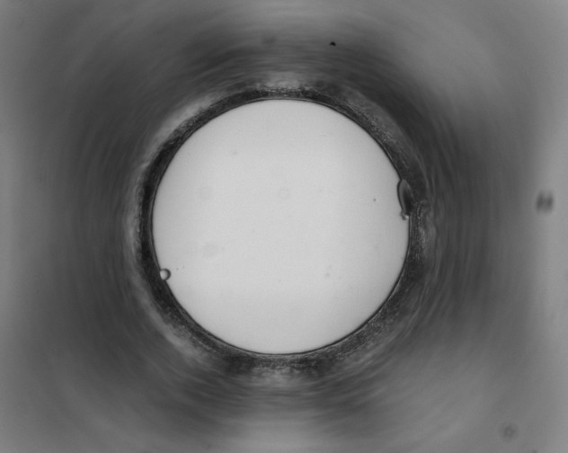 X0000101410728200808041104
