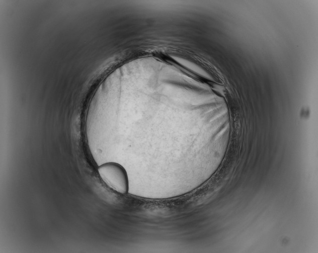 X0000101410729200808041104