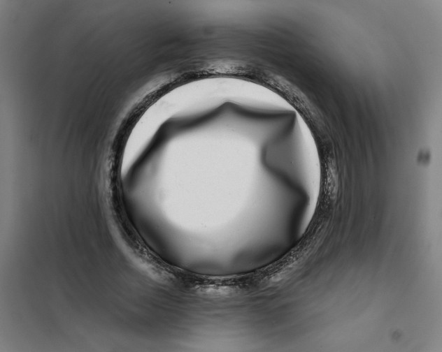 X0000101410730200808041104