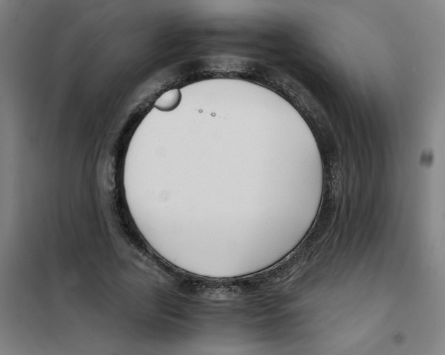 X0000101410731200808041104