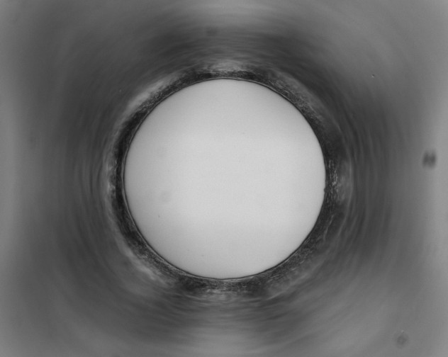 X0000101410732200808041104
