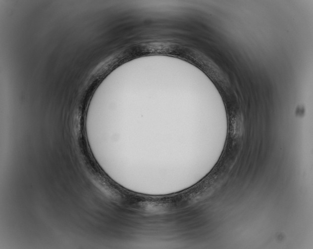X0000101410733200808041104