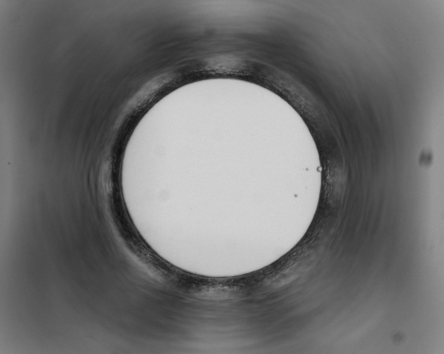 X0000101410734200808041104