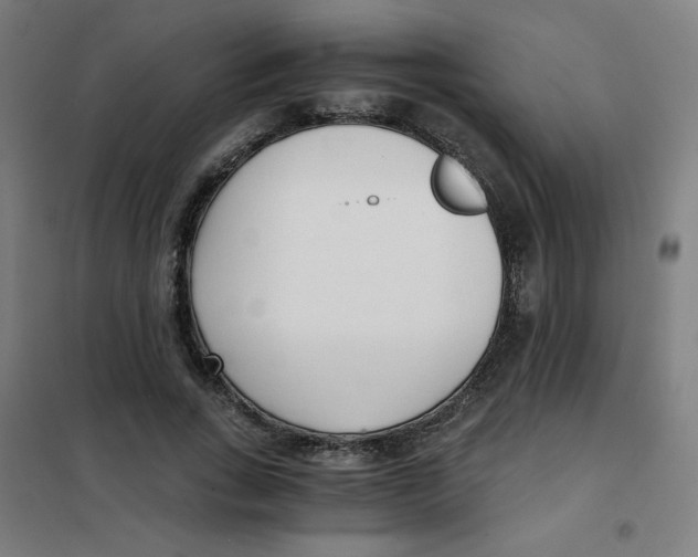 X0000101410735200808041104