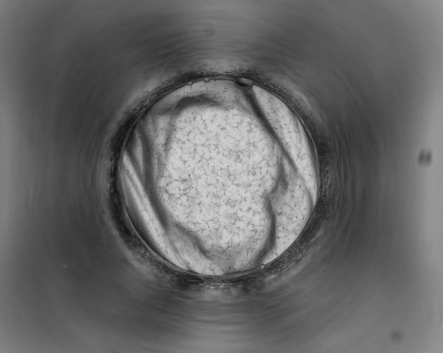 X0000101410736200808041104