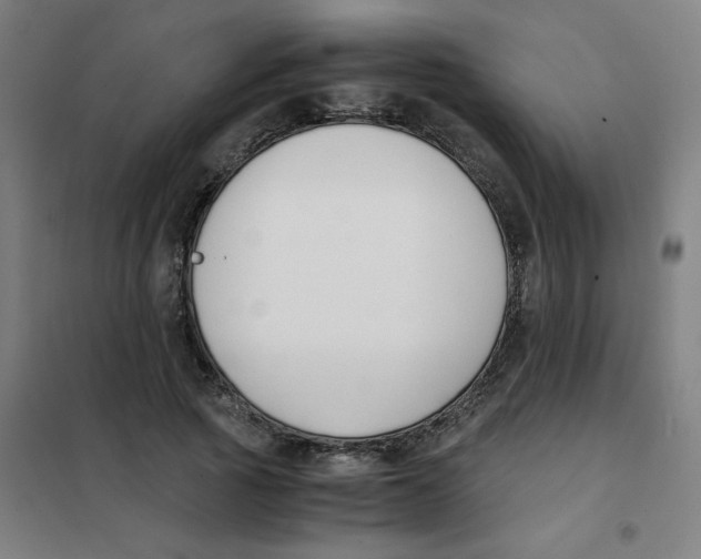 X0000101410737200808041104