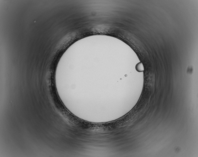 X0000101410738200808041104