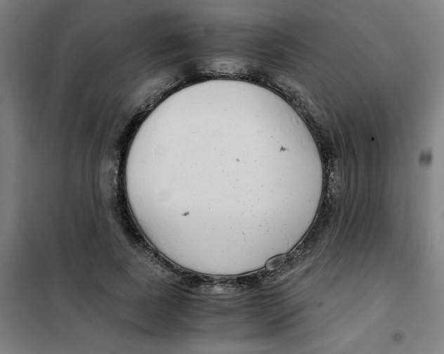 X0000101410739200808041104