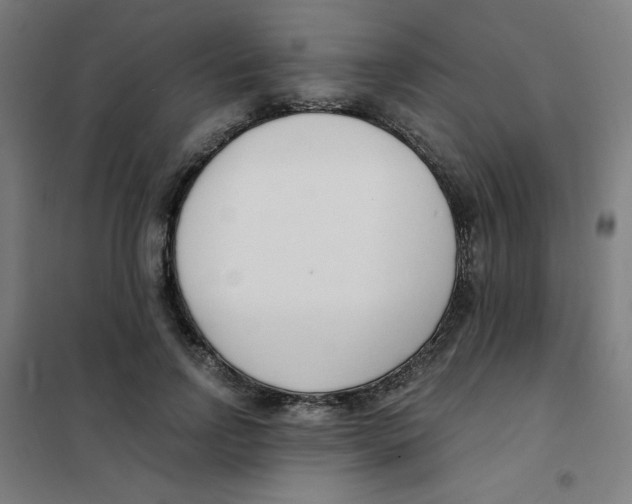 X0000101410742200808041104