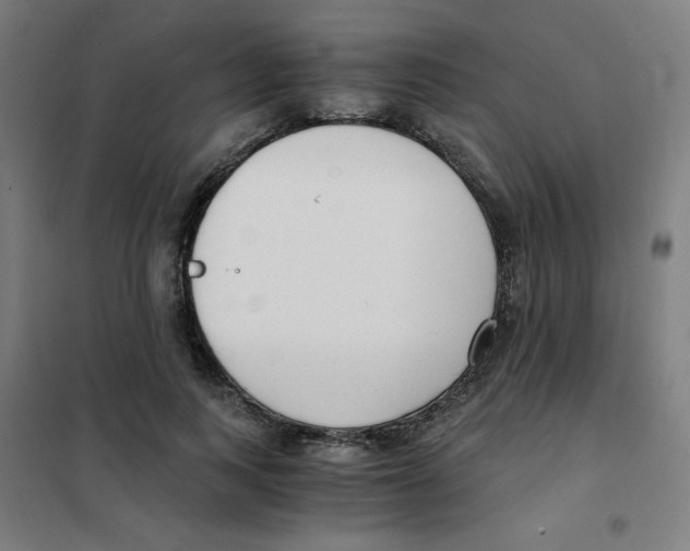 X0000101410743200808041104