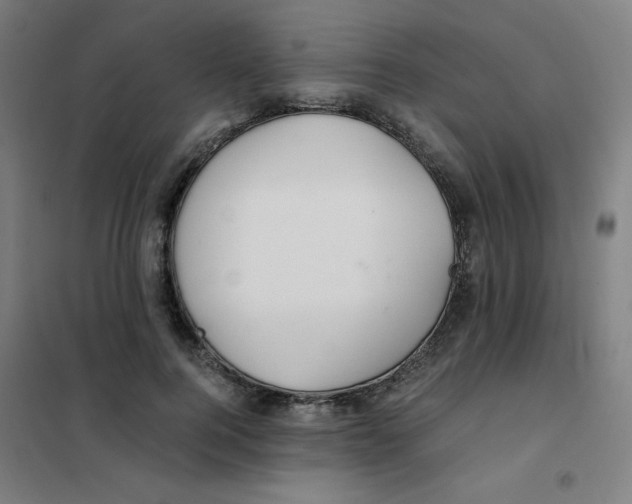 X0000101410744200808041104