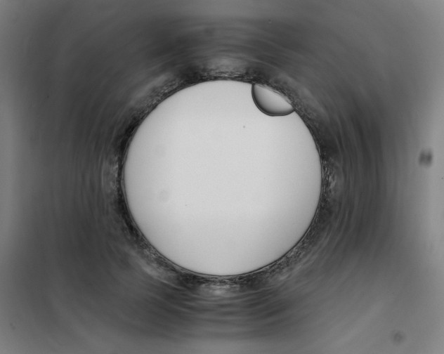 X0000101410745200808041104