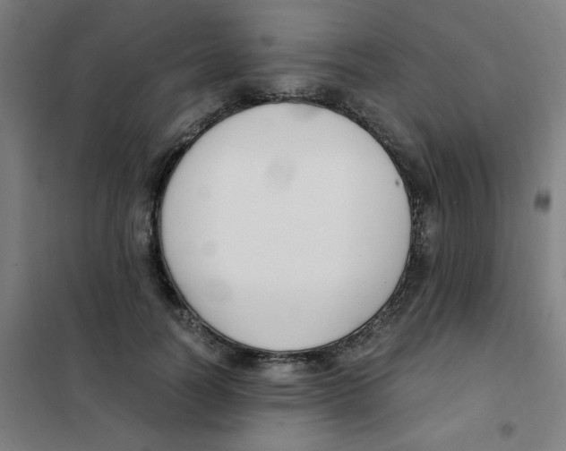 X0000101410746200808041104
