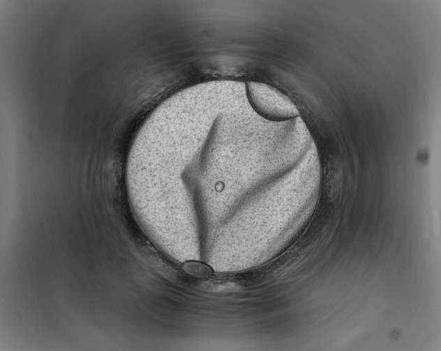 X0000101410747200808041104