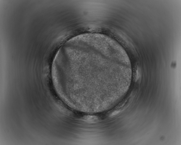 X0000101410748200808041104