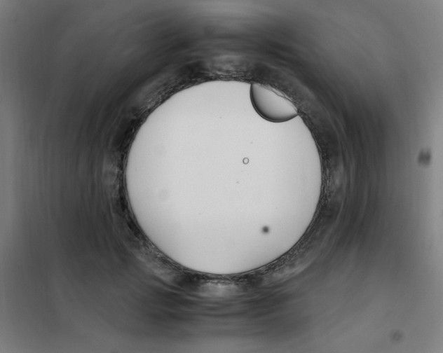 X0000101410749200808041104