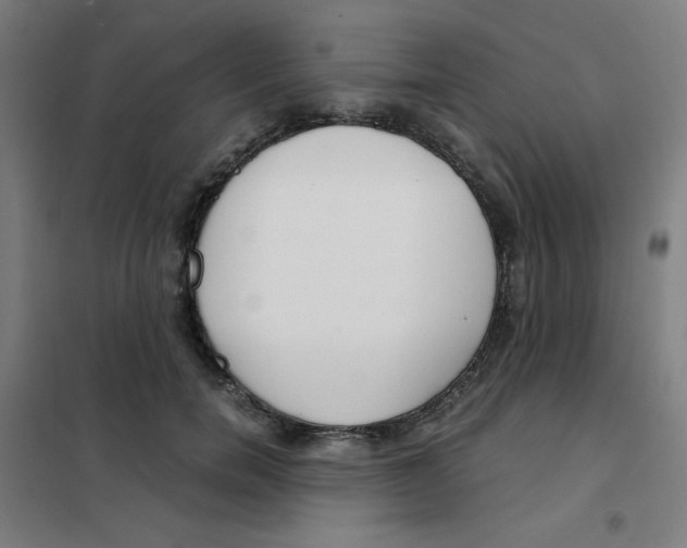 X0000101410750200808041104