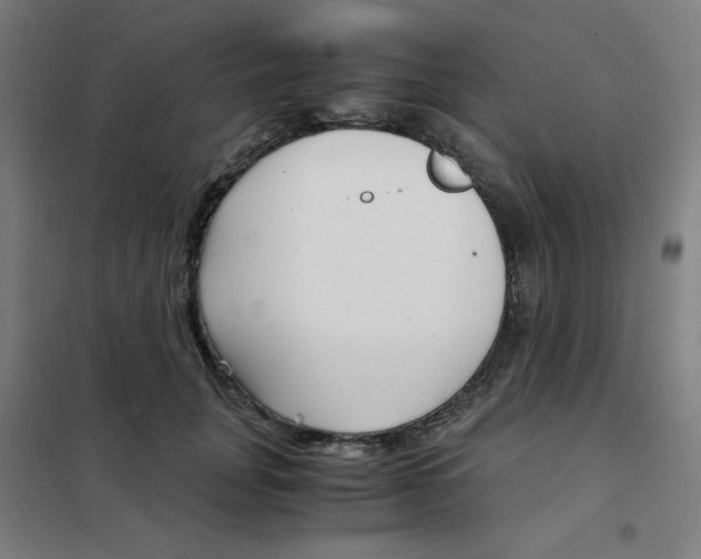 X0000101410751200808041104