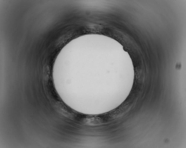 X0000101410752200808041104