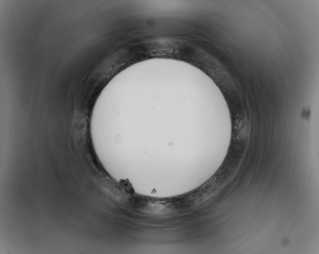 X0000101410753200808041104