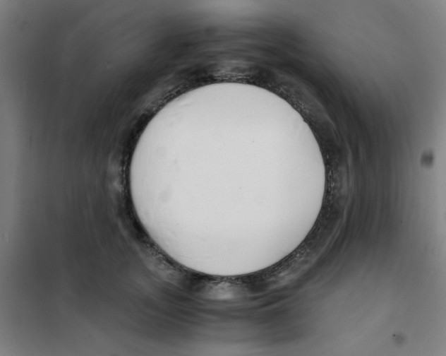 X0000101410755200808041104