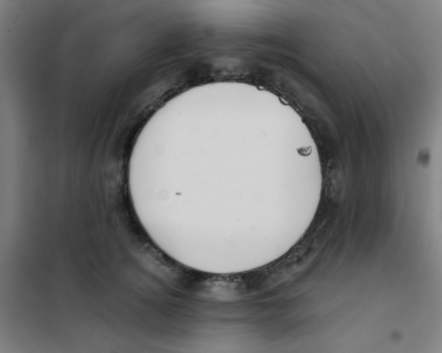 X0000101410756200808041104