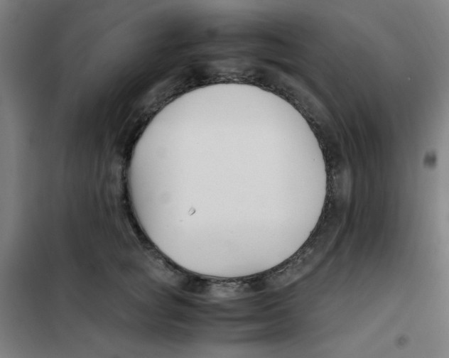X0000101410757200808041104