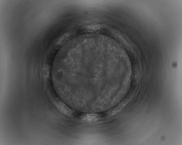 X0000101410758200808041104
