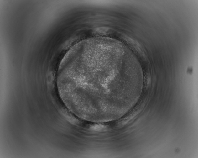 X0000101410759200808041104