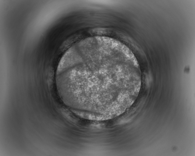 X0000101410760200808041104