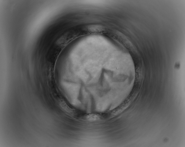 X0000101410762200808041104
