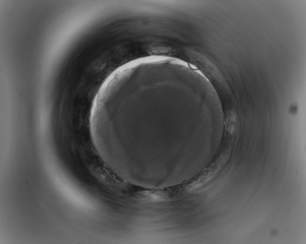 X0000101410763200808041104
