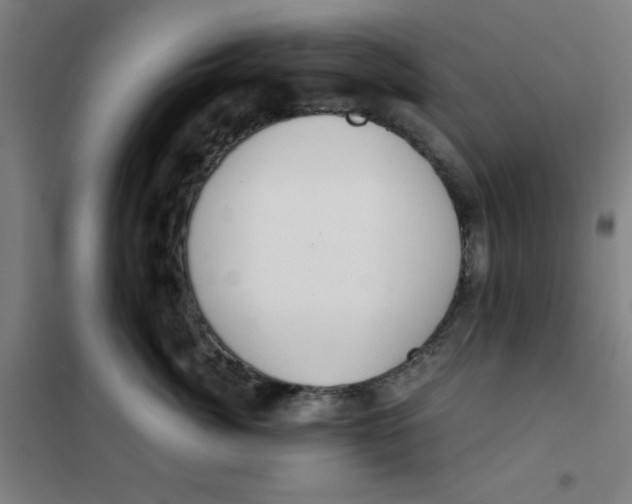 X0000101410764200808041104