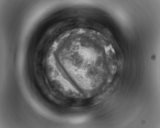 X0000101410765200808041104