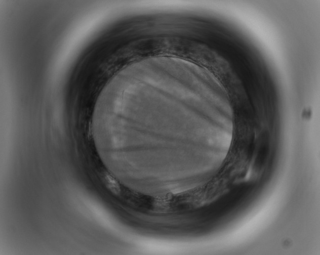 X0000101410766200808041104