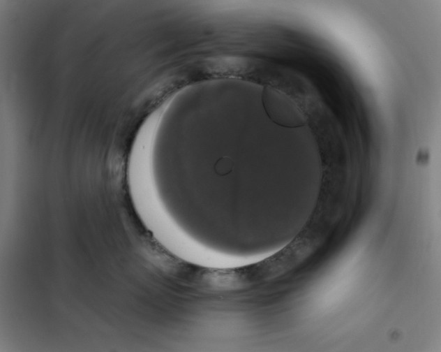 X0000101410767200808041104