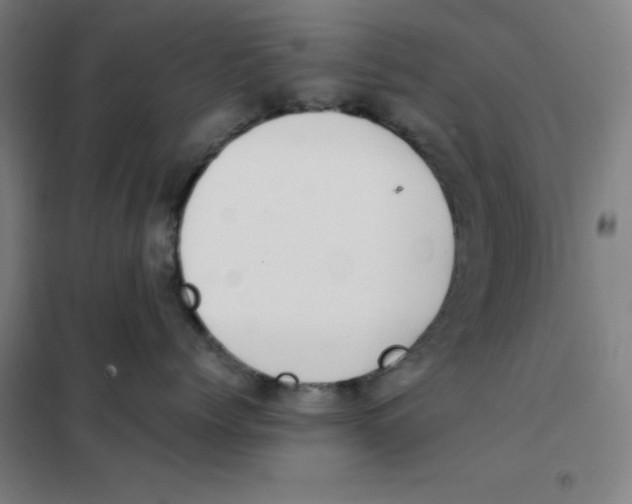 X0000101410768200808041104