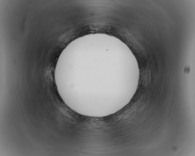 X0000101410770200808041104