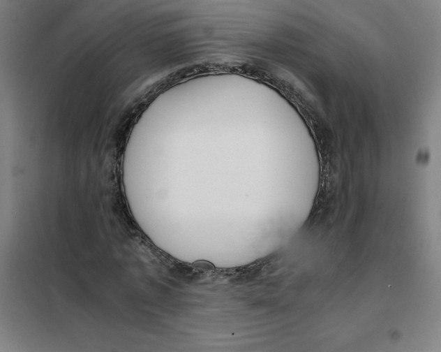 X0000101410773200808041103