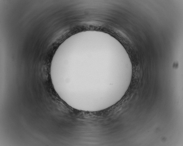 X0000101410774200808041103