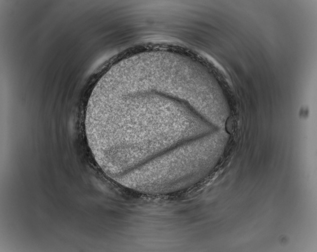 X0000101410775200808041103