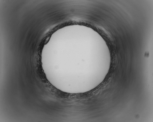 X0000101410776200808041103